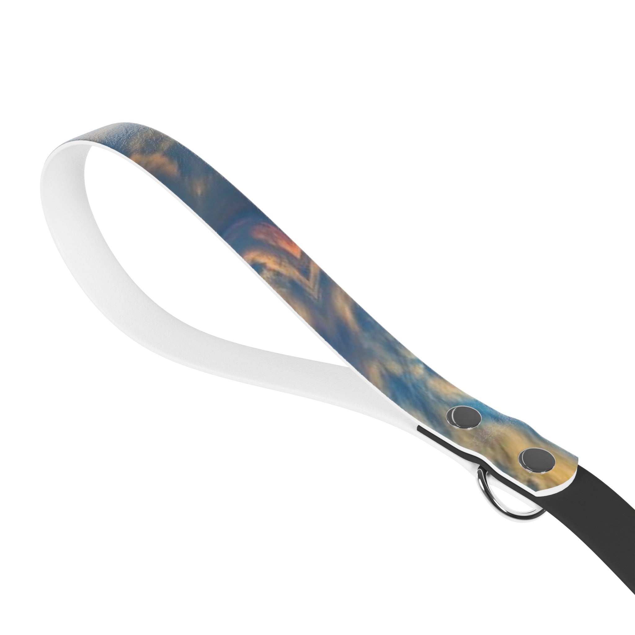Stylish Dog Leash, Unique Pet Accessory for Dog Lovers, Perfect for Walks & Training, Gift for Pet Owners, Customizable Pet Gear