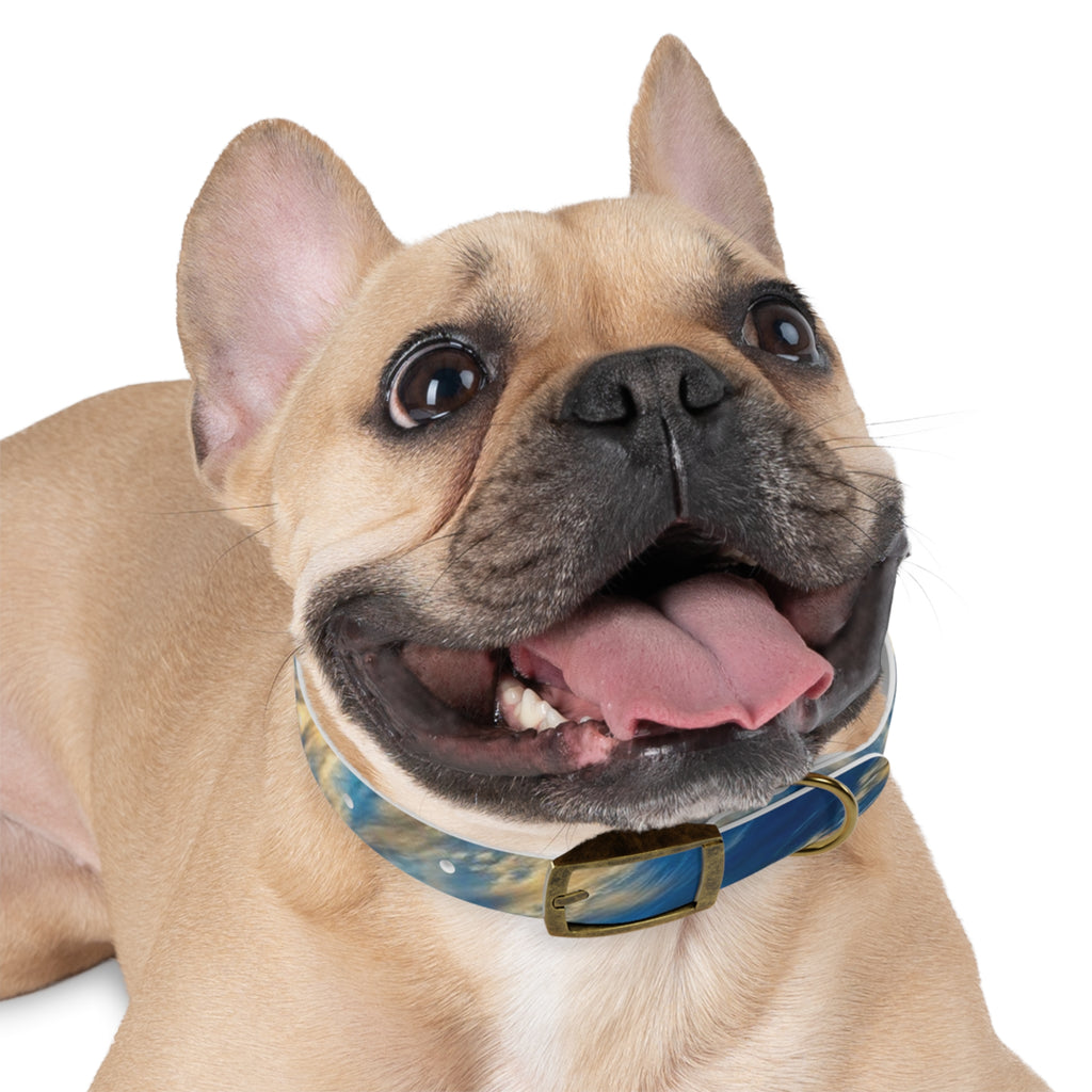 Stylish Adjustable Dog Collar, Trendy Pet Accessory for Dog Lovers, Personalized Pet Collar, Gifts for Pet Owners, Ideal for Dog [...]