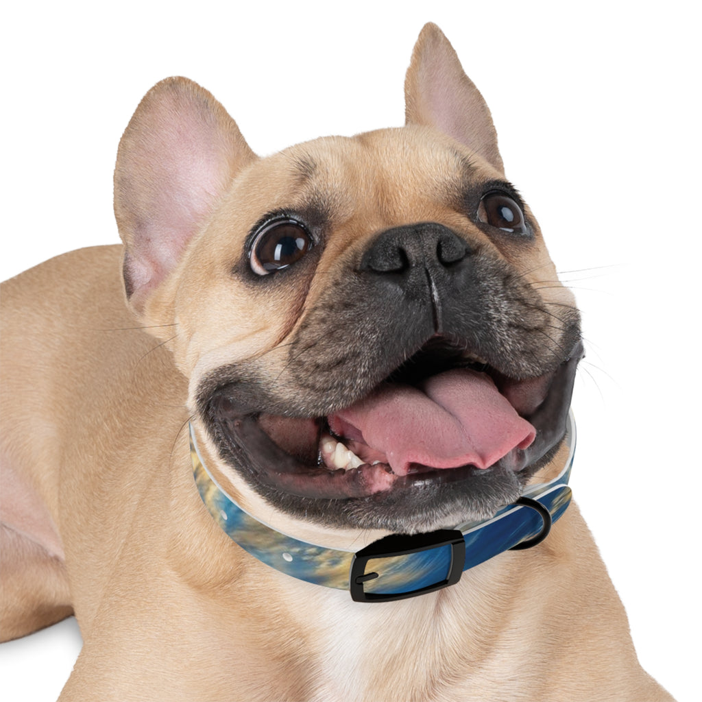Stylish Adjustable Dog Collar, Trendy Pet Accessory for Dog Lovers, Personalized Pet Collar, Gifts for Pet Owners, Ideal for Dog [...]