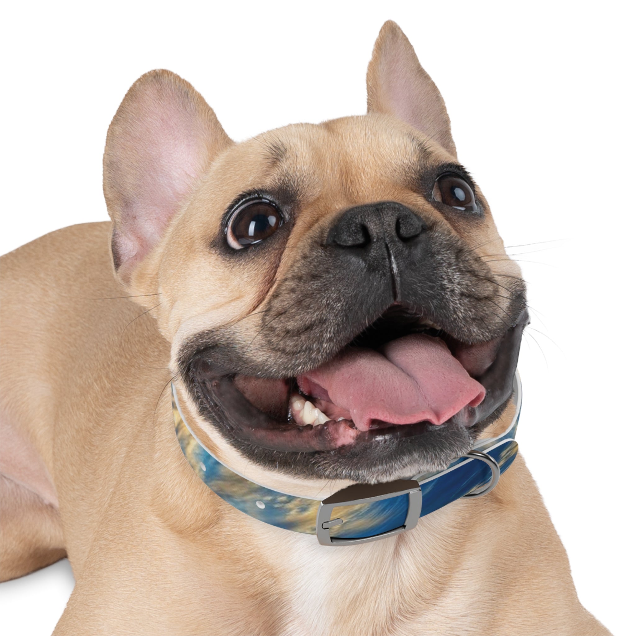 Stylish Adjustable Dog Collar, Trendy Pet Accessory for Dog Lovers, Personalized Pet Collar, Gifts for Pet Owners, Ideal for Dog [...]