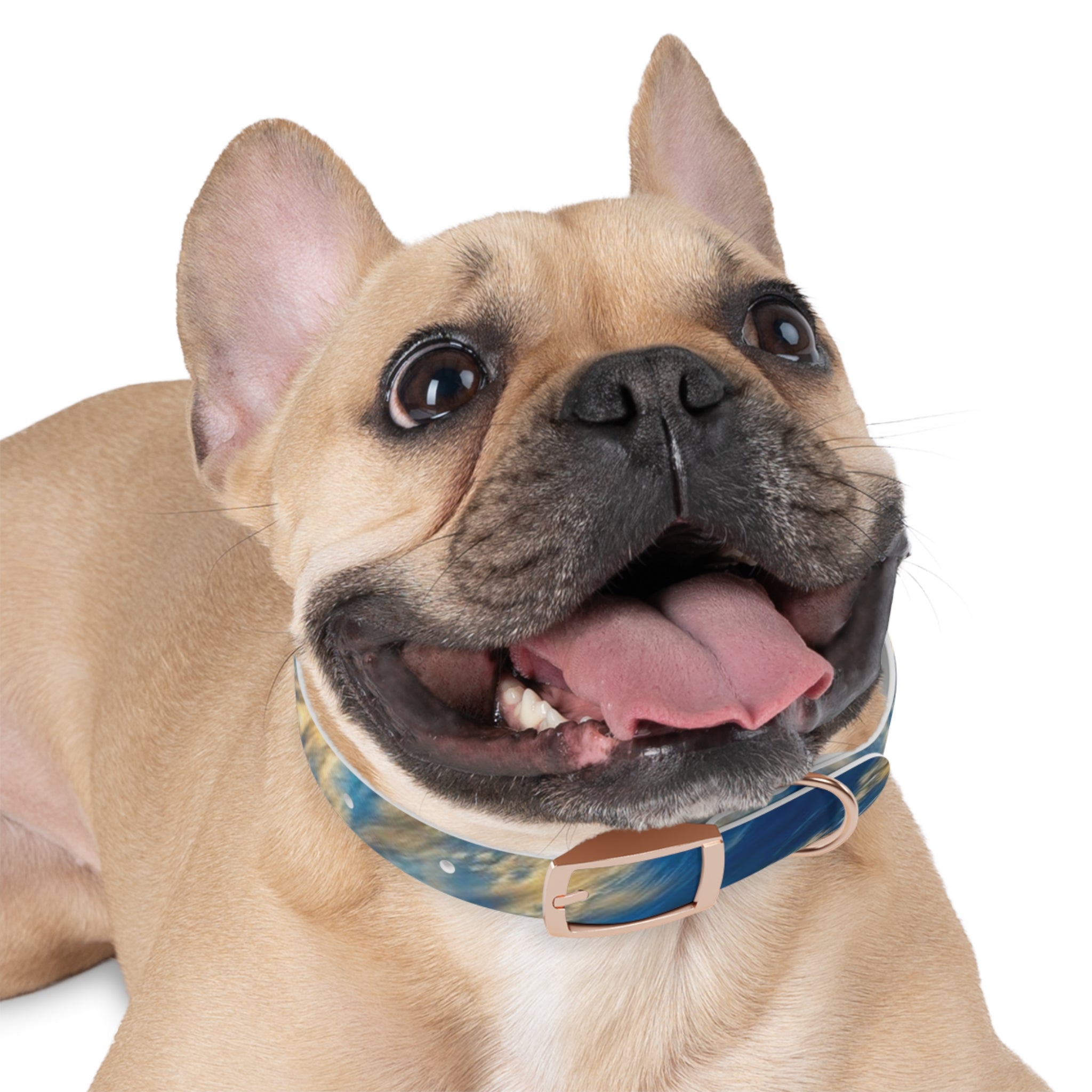 Stylish Adjustable Dog Collar, Trendy Pet Accessory for Dog Lovers, Personalized Pet Collar, Gifts for Pet Owners, Ideal for Dog [...]